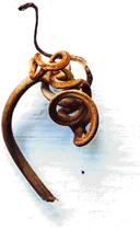 Tendril Wine Cellars Second Image